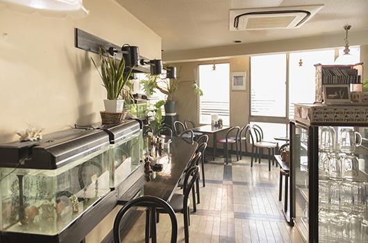 久我山駅,喫茶店ライムライト(店内熱帯魚が演出する癒しの空間写真)