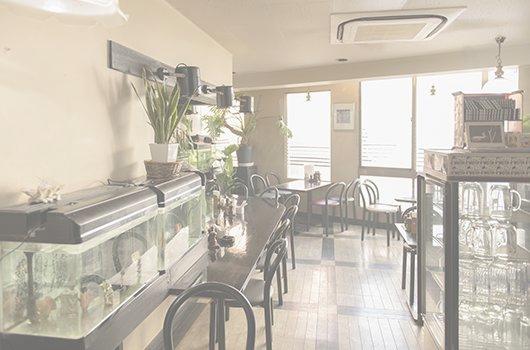 久我山駅,喫茶店ライムライト(店内熱帯魚が演出する癒しの空間写真)